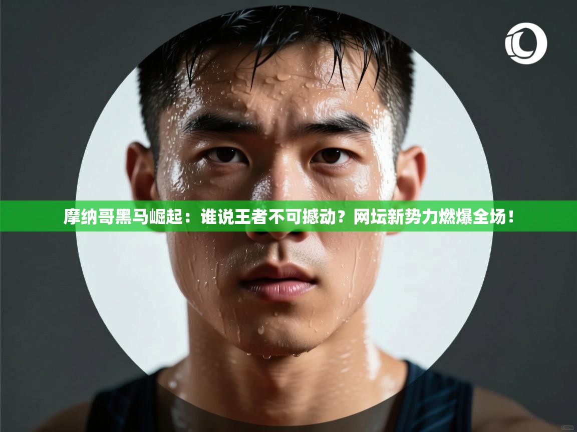 摩纳哥黑马崛起：谁说王者不可撼动？网坛新势力燃爆全场！  第2张