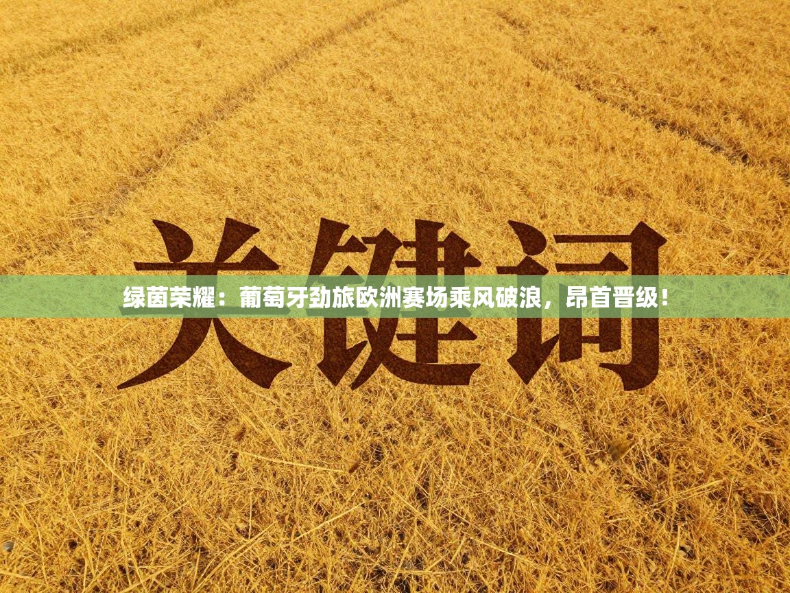 绿茵荣耀：葡萄牙劲旅欧洲赛场乘风破浪，昂首晋级！